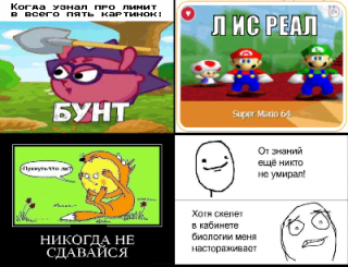 картинка