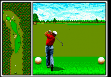 Игра Arnold Palmer Tournament Golf