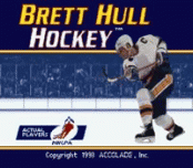 Игра Brett Hull Hockey