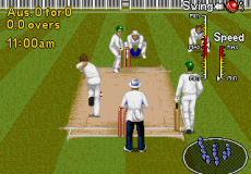 Игра Brian Lara Cricket 96 / Крикет Брайана Лары 96