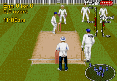 Игра Brian Lara Cricket 96 (March 1996)