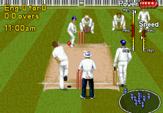 Игра Brian Lara Cricket 96