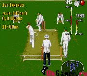 Игра Brian Lara Cricket (March 1995)