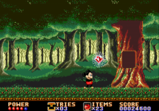 Игра Castle of Illusion Starring Mickey Mouse