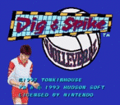 Игра Dig & Spike Volleyball