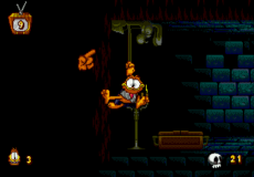 Игра Garfield: Caught in the Act