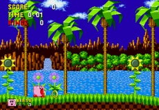 Игра Kirby in Sonic the Hedgehog