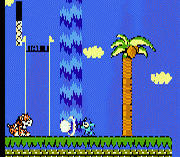 Игра Mega Man V Indonesia