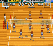 Игра Multi Play Volleyball