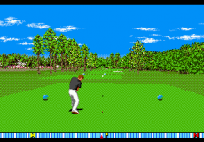 Игра New 3D Golf Simulation: Harukanaru Augusta
