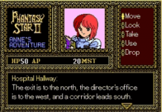 Игра Phantasy Star II: Anne's Adventure