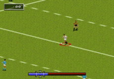 Игра Rugby World Cup 1995