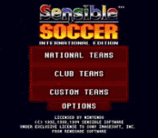 Игра Sensible Soccer - International Edition