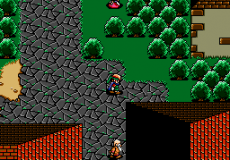 Shining Force