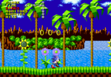 Sonic the Hedgehog 1 at SAGE 2010