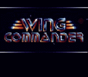 Игра Wing Commander (video game)