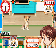 Игра Kawaii Pet Game Gallery