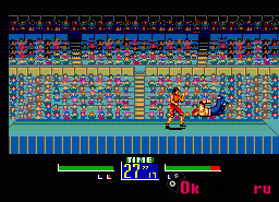Игра Virtua Fighter Animation (Sega Master System)