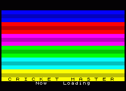 Игра Cricket Master (ZX Spectrum)