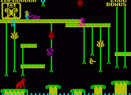 Игра Donkey Kong Jr. (ZX Spectrum)