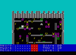Игра Wombat Combat (ZX Spectrum)