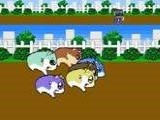 Игра Hamster Monogatari 64